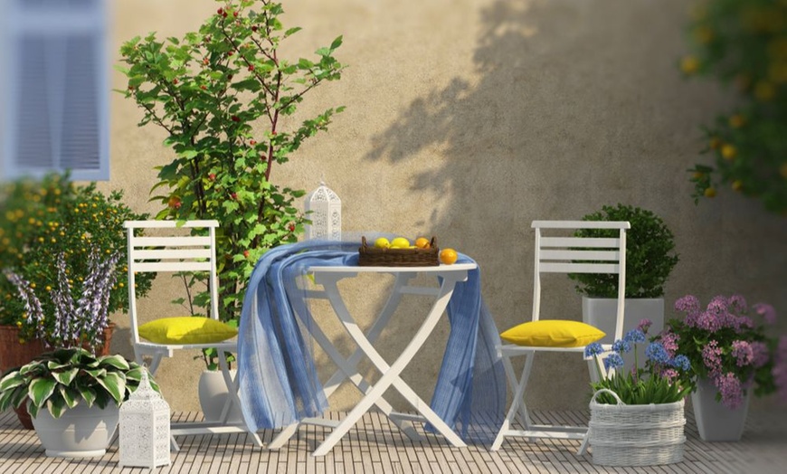 Image 17: 1, 2 or 3 Potted Fruit Plant Collections