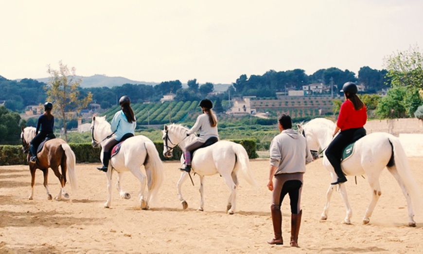 Image 2: Aprende a montar a caballo: 6 clases de hípica para 1 o 2 personas 