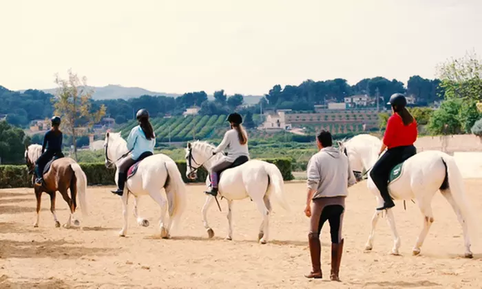 Aprende a montar a caballo: 6 clases de hípica para 1 o 2 personas