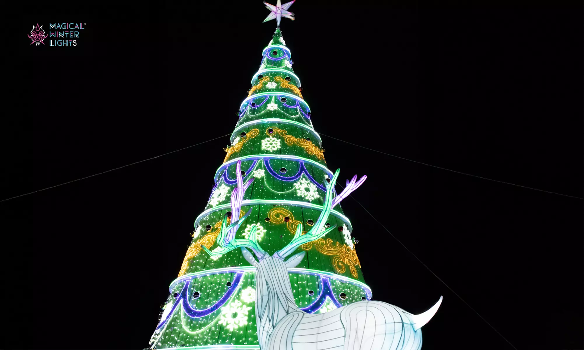 Magical Winter Lights - Houston's Dazzling Holiday Lantern Festival