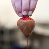Image 11: Fun Chocolate Making Classes | Create Artisanal Chocolates by Hand