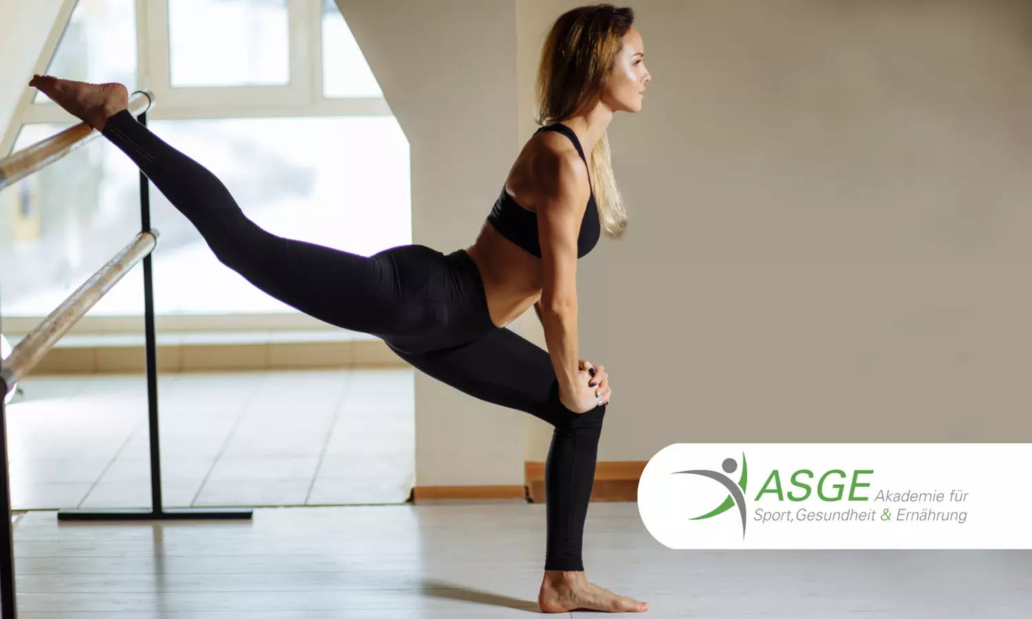 Online-Ausbildung für die Grundlagen von Barre Workout bei ASGE (über 70% sparen) - Primary Image