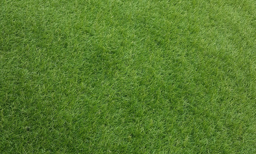 Image 9: Gazon artificiel pour extérieur