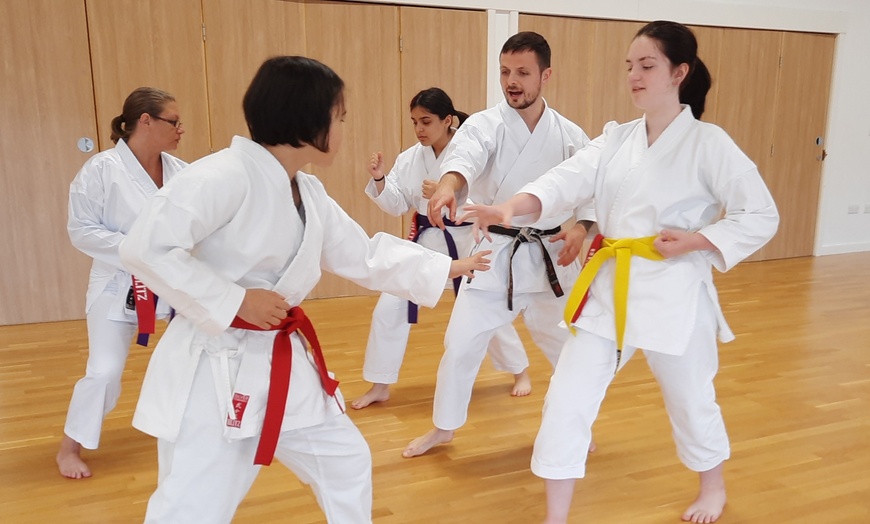 Image 4: Martial Arts / Karate / MMA - Activities at Shobu Kai Karate Academy