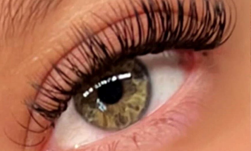 Image 8: Full Set of Classic / Hybrid or Wet Set / Volume Eyelash Extensions 