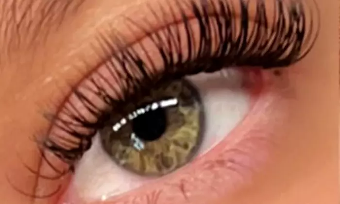 Full Set of Classic / Hybrid or Wet Set / Volume Eyelash Extensions