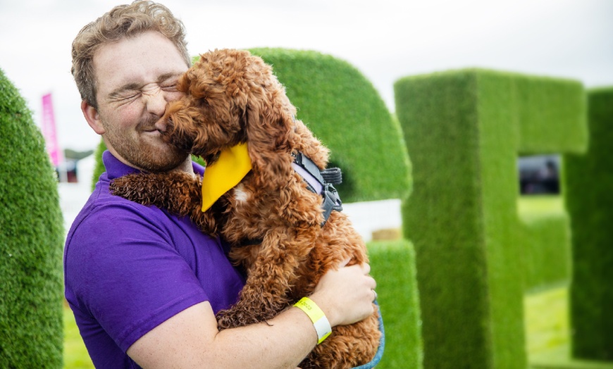 Image 14: DogFest 2025 | Your Favorite Dog-Friendly Festival 