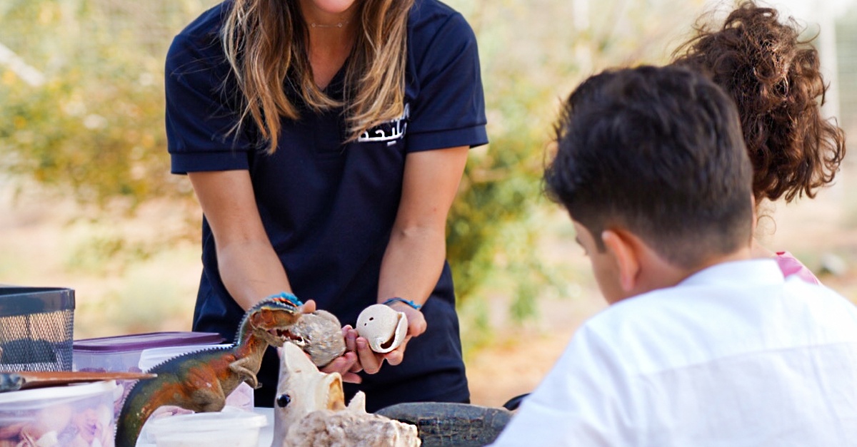 Fossil Hunt (standard & Premium), Flora & Fauna, Space Camp And More Fossil Hunt (standard & Premium), Flora & Fauna, Space Camp And More