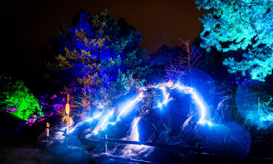 Image 12: Ontdek de dieren van de zee en neem zelf een duik in het Dolfinarium