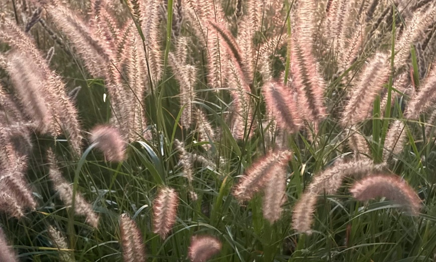 Image 5: Pack de bordure NatureNest 'Luna'