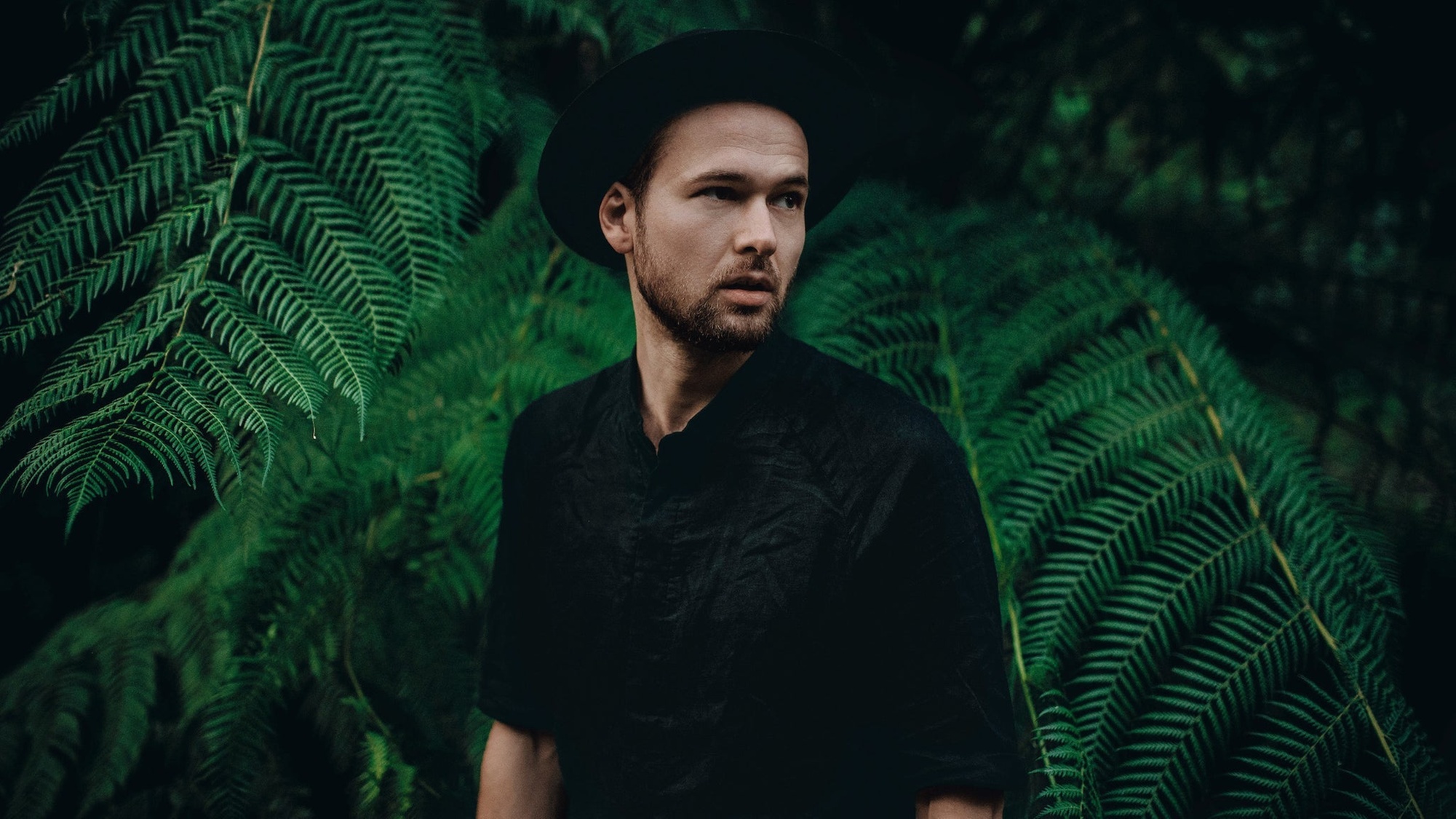 Monolink – Up to 64% Off