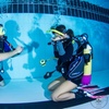 Image 2: Try Dive SCUBA Lesson for Beginners – Perfect for One or Two People