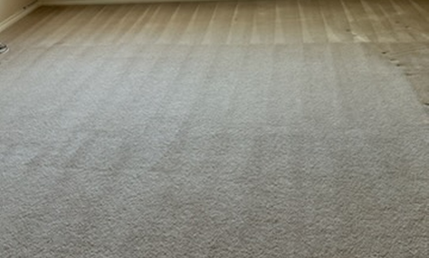 Image 2: Eco-friendly carpet cleaning for rooms and gameroom
