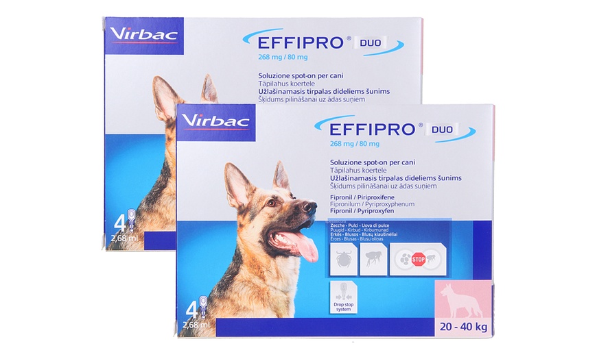 Image 5: Antiparassitario Virbac effipro duo