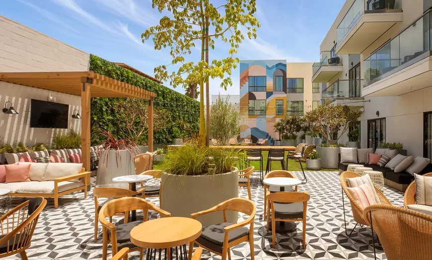 Sun terrace and garden