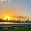 Image 3: Explore Miami's Historic Sights and Everglades' Beauty on Tours