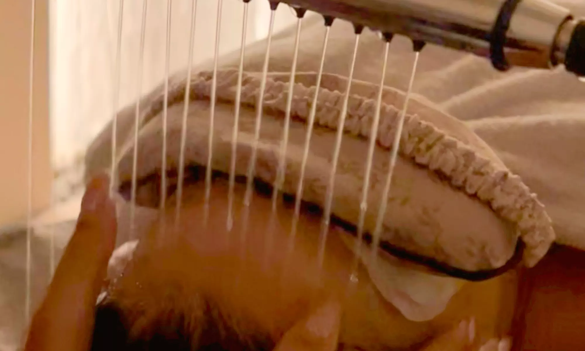 Experiencia de spa capilar con opción a masaje, higiene facial y más