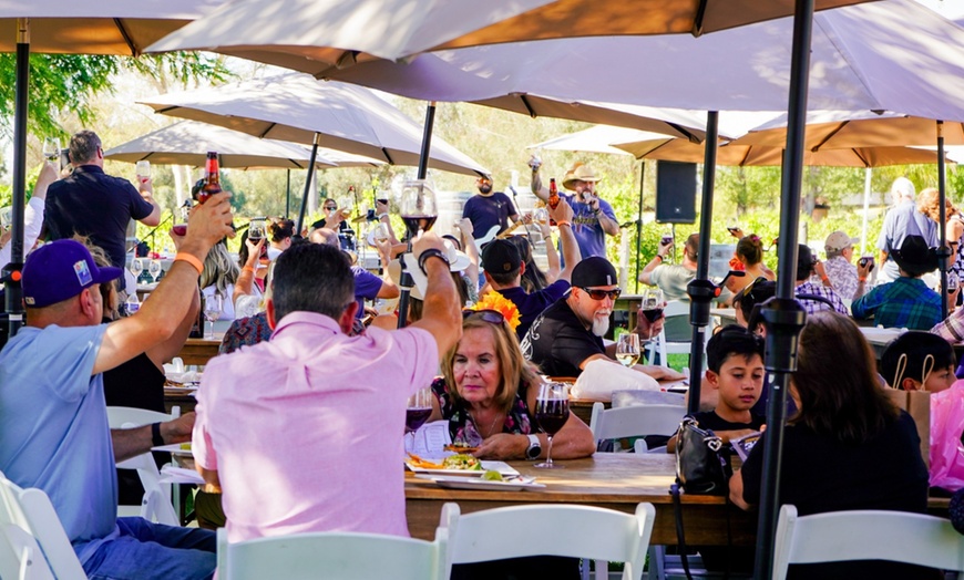 Image 6: 50% Off Exquisite Premium Wine Tasting at Lorimar Vineyards 