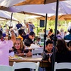 Image 6: 50% Off Exquisite Premium Wine Tasting at Lorimar Vineyards 
