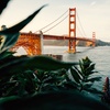 Image 1: Uncover the Best of Alcatraz & San Francisco Tour for 1, 2, / 4 People