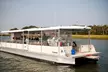 Enjoy Capers Island Wildlife Explorations or Blue Crabbing Excursions with Barrier Island EcoTours Up to 33% Off - Second Medium