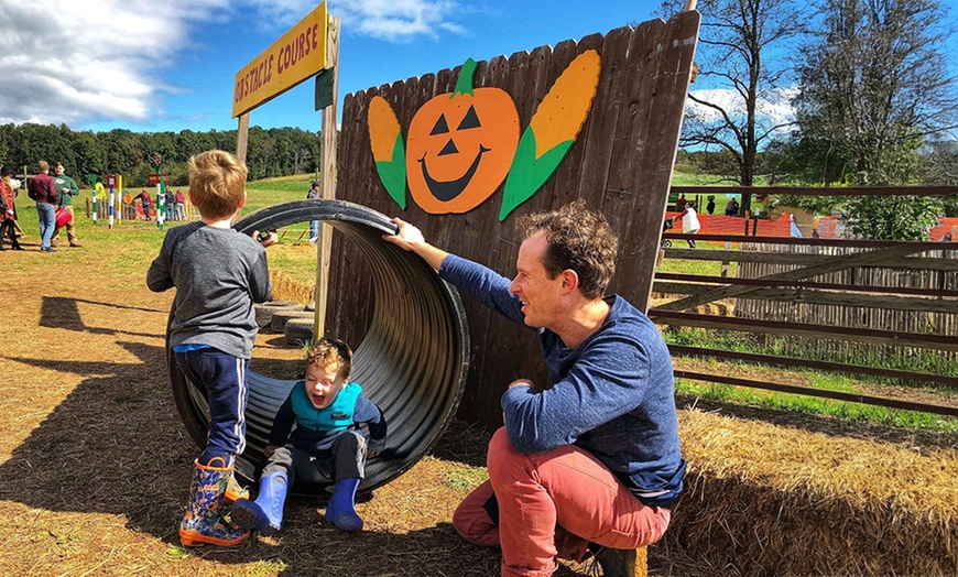 Image 4: Explore the 5 Acre Corn Maze & Festival Fun Admission for 1, 2, 3 or 4