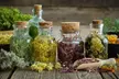 Become a Certified Naturopathy Practitioner with This Online Course from PrimoLearn.com (Up to 55% Off) - Second Medium