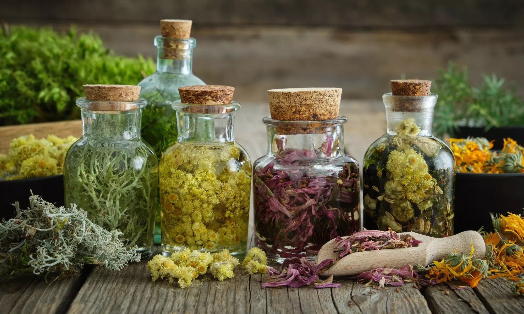 Become a Certified Naturopathy Practitioner with This Online Course