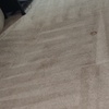 Image 6: Up to 81% Off Carpet Cleaning from 24 Hour Pro Carpet Clean