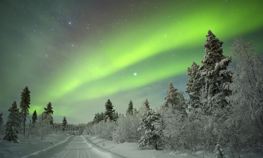 Image 10: Lapland Dog Sledding