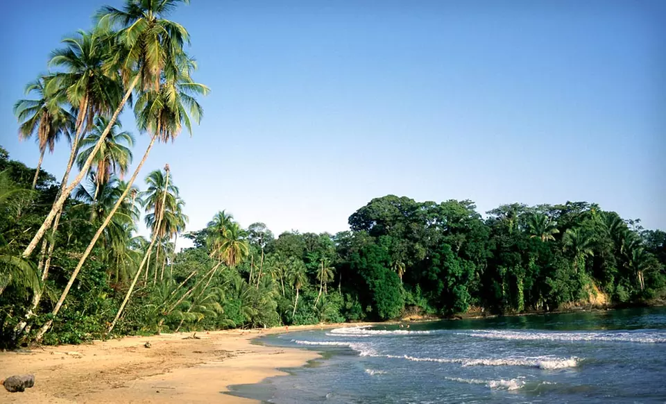 Three-, Four-, or Five-Night Stay with Yoga and Optional Tour Credit at Samasati Nature Retreat in Limón, Costa Rica - Primary Image