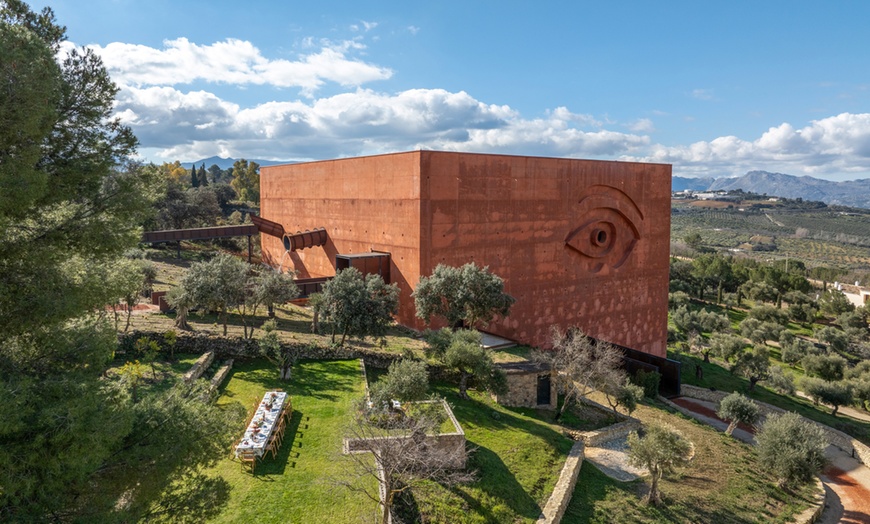 Image 4: Entradas al Museo del AOVE con visita al olivar y cata de aceites