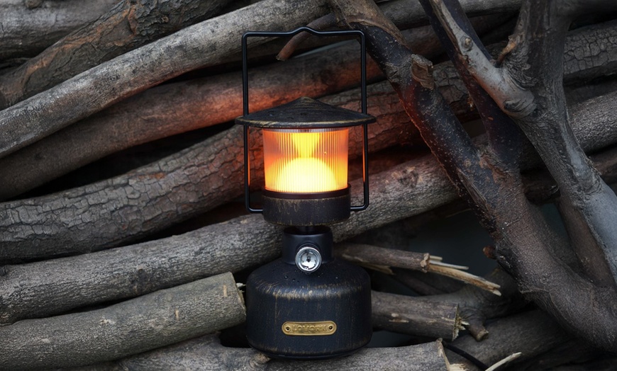 Image 21: Lampe im Vintage Design