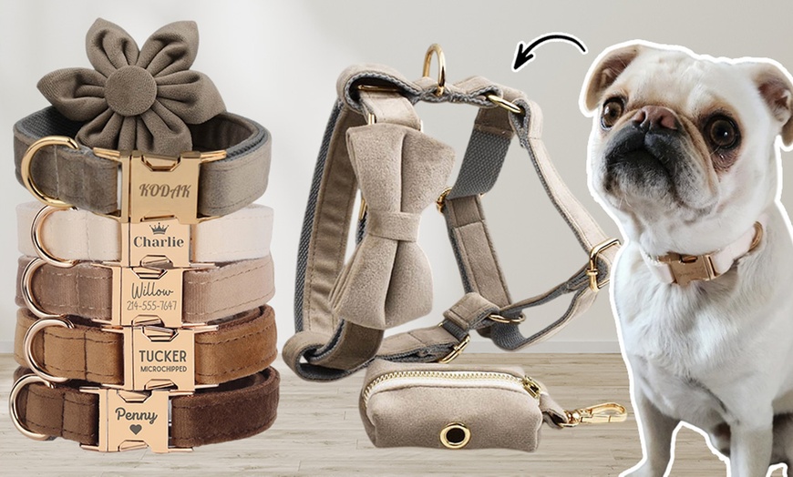 Image 1: Personalisierbares Haustier-Halsband mit integriertem Namensschild
