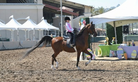 5 Private Horseback Riding Lessons - Stachowski Farm
