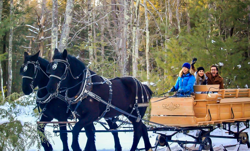 Image 2:  Group Horse-Drawn Sleigh/Wagon Ride with Guide at Cornerstone Ranch