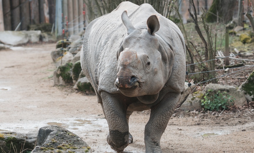 Image 19: Vivre les missions d’un soigneur au Touroparc Zoo