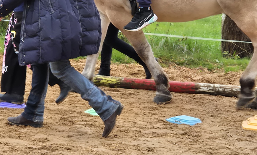 Image 4: Bis zu 10 Einheiten: Achtsame Pferdezeit für Groß und Klein