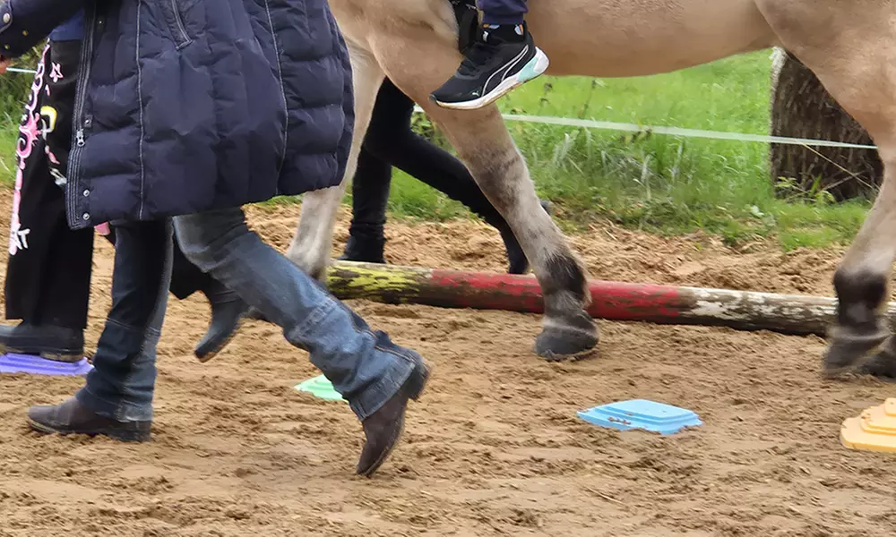 Bis zu 10 Einheiten: Achtsame Pferdezeit für Groß und Klein