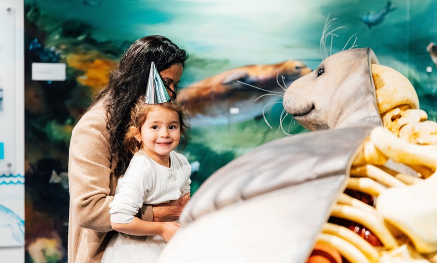 Image 11: Explore Marine Life at Save The Bay's Aquarium – Newport, RI