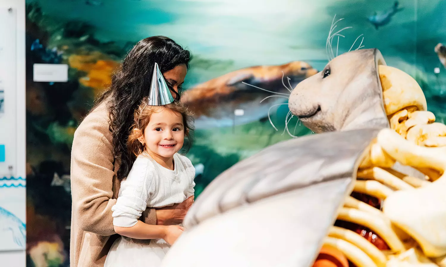 Explore Marine Life at Save The Bay's Aquarium – Newport, RI