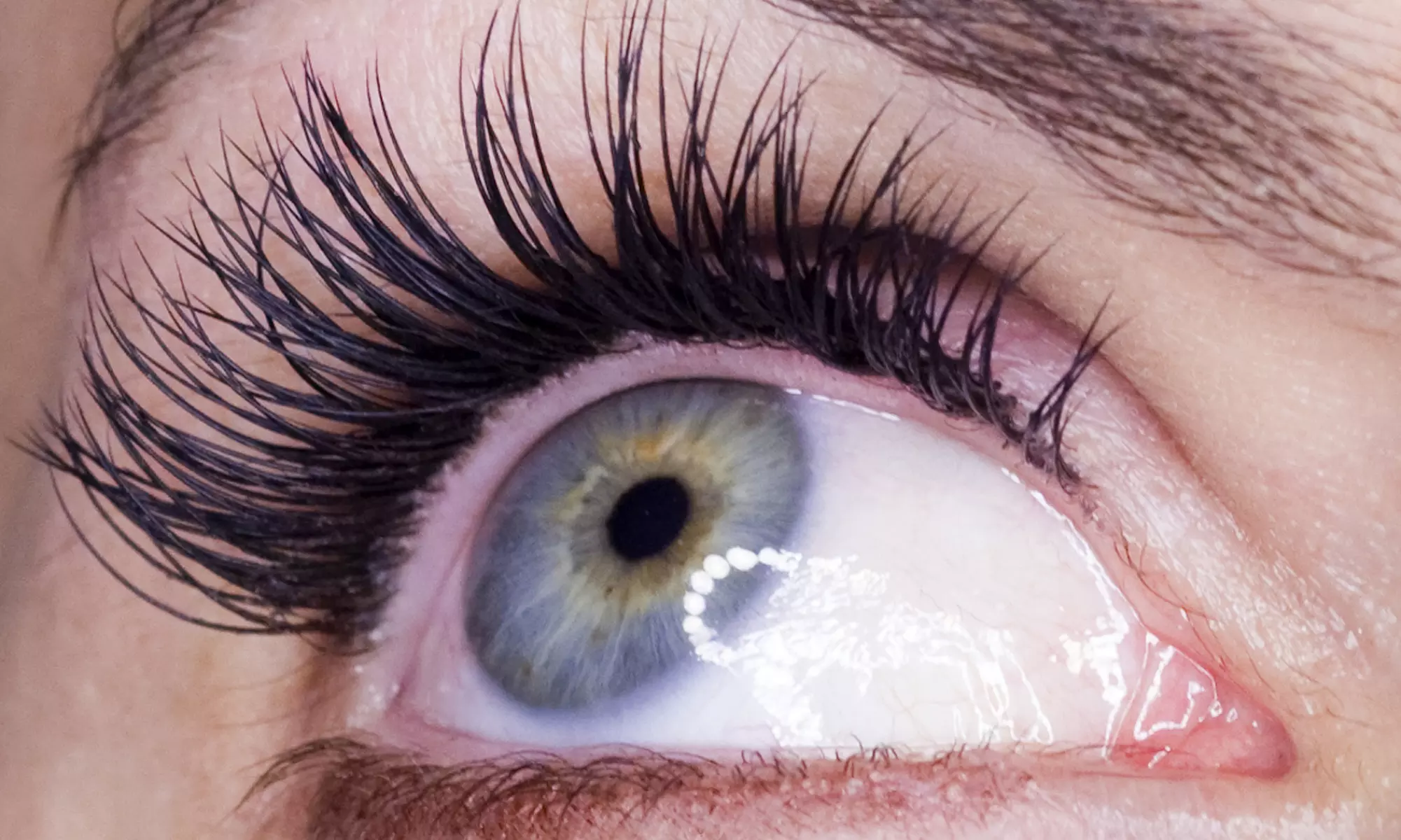 Full Set of Eyelash Extensions and Optional Fill with The Lash Gal Mobile Service (42% Off)  - Primary Image