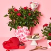 Image 1: 1-800-Flowers.com Deal: Next Day Valentine's Plants & Gifts Up to 50% off
