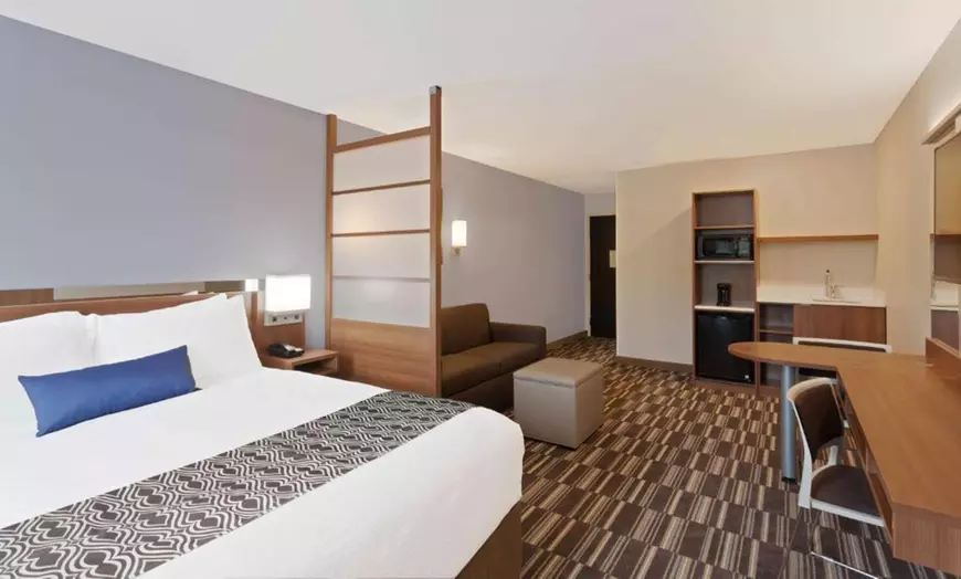 Basic Studio Suite