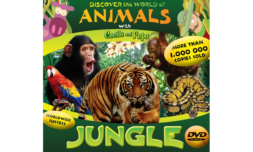 Discover the World of Animals | Groupon Goods