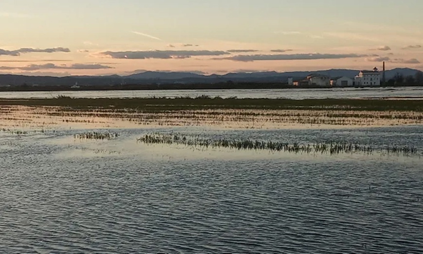 Image 5: Arroz para 2 o 4 personas con paella y opción a paseo en barca