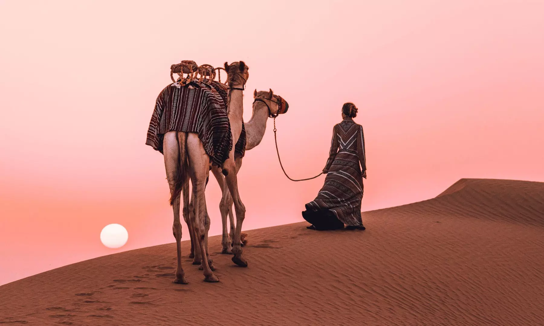 VIP Desert Safari with Doorstep Transfer by 4x4 Car For Up to Four