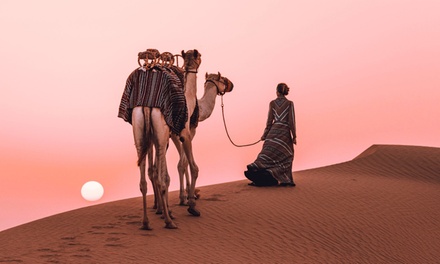 For One: VIP Desert Safari with Doorstep Transfer by 4x4 car - AlMahra Tours LTD