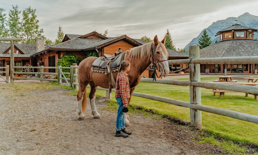 Image 10: Up to 39% Off Horseback Trail Rides at Boundary Ranch