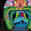 Image 4: Dubai Garden Glow Experience – Entry for 1–4 People